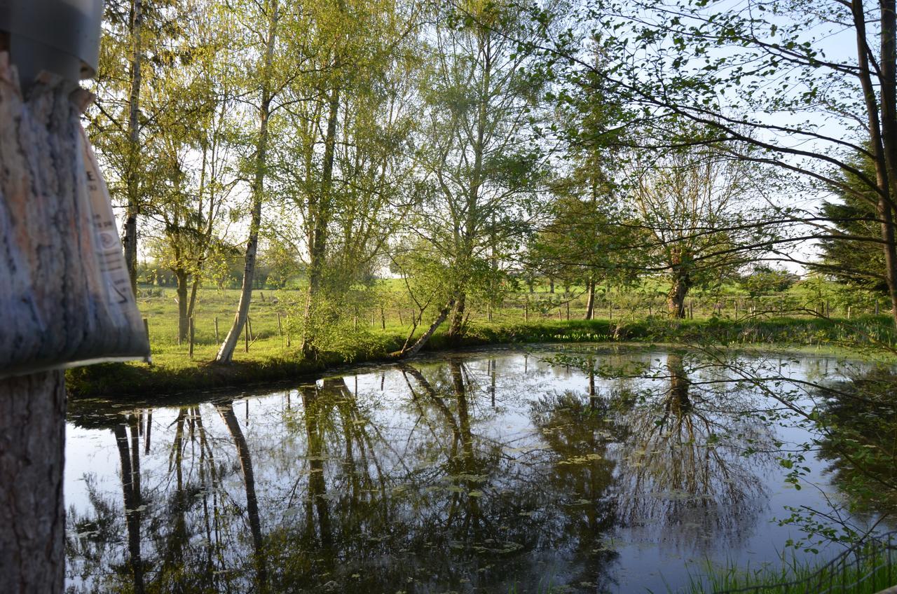 Le Moulin De Charin Bed & Breakfast La Pommeraie-sur-Sevre Luaran gambar