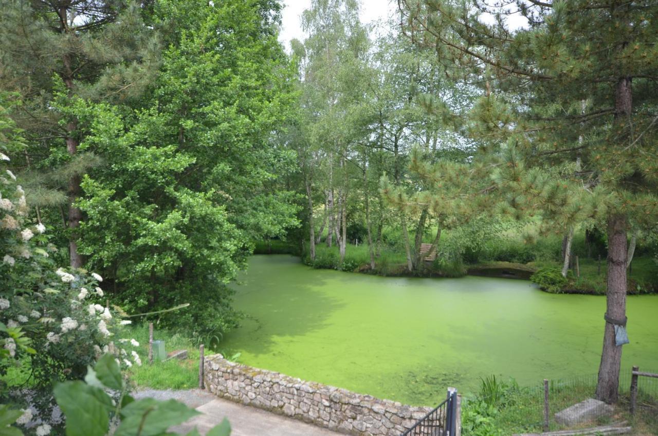 Le Moulin De Charin Bed & Breakfast La Pommeraie-sur-Sevre Luaran gambar